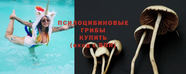 каннабис Каменногорск