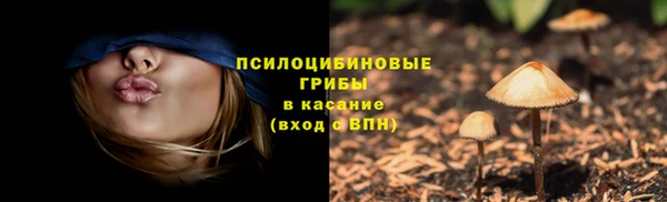 каннабис Каменногорск